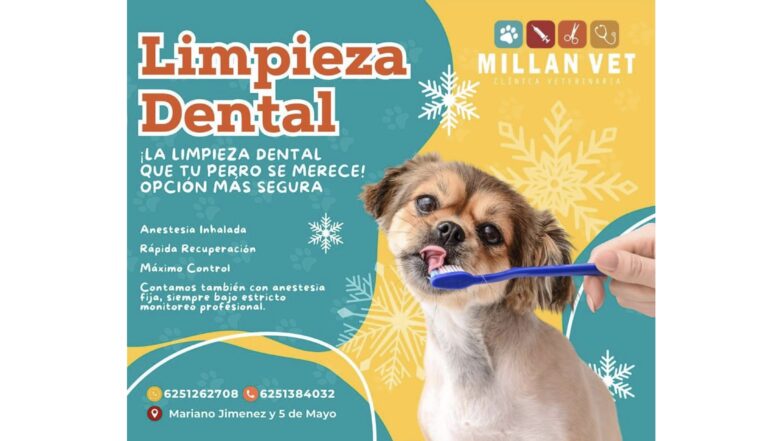 Imagen 24 02 26 a las 11.35 a.m 768x441